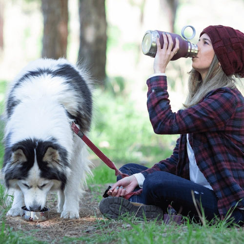 Buddy Bottle a Stainless Steel Insulated Water Bottle for with Removable Dog Water Bowl and Dog Food and Treat Storage Bowl (Burgundy, 37 Oz Water Bottle with Bowl)